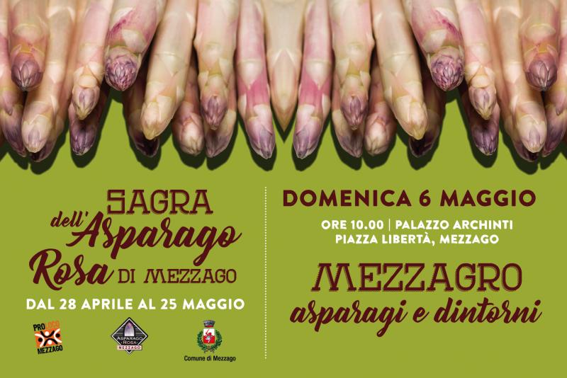 sagra_degli_asparagi_mezzago1