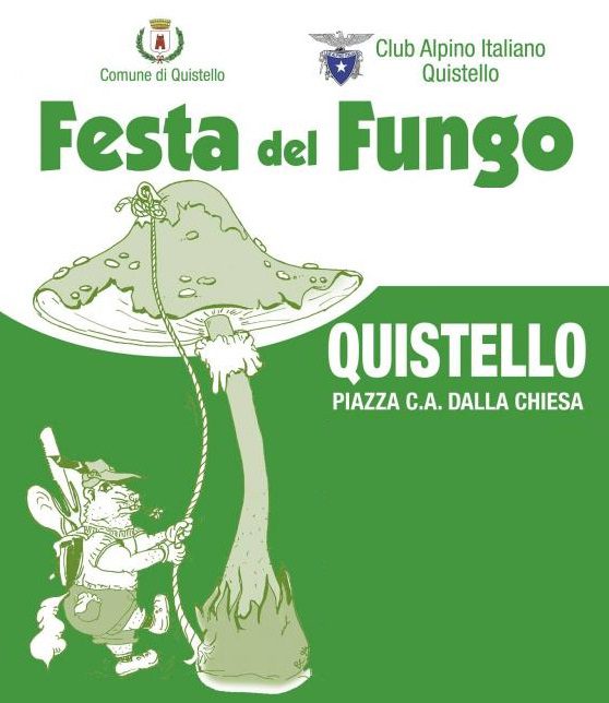 Festa Del Fungo a Quistello