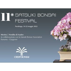 Satsuki Bonsai Festival - XI edizione