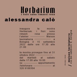 Herbarium - Alessandra Calò